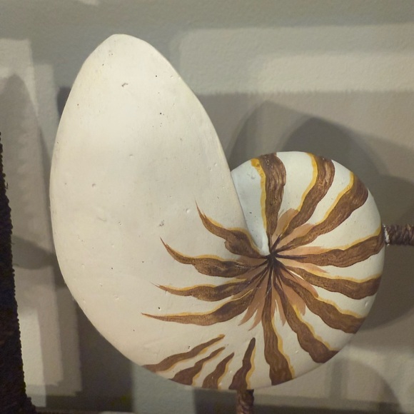 Nautical Shadow ox Decor Starfish and Nautilus Shell Set - Picture 13 of 13